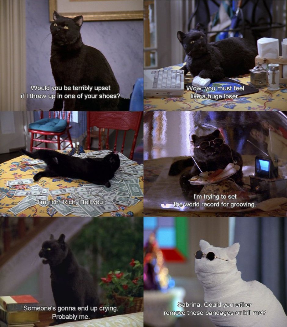 Сейлем кот Король