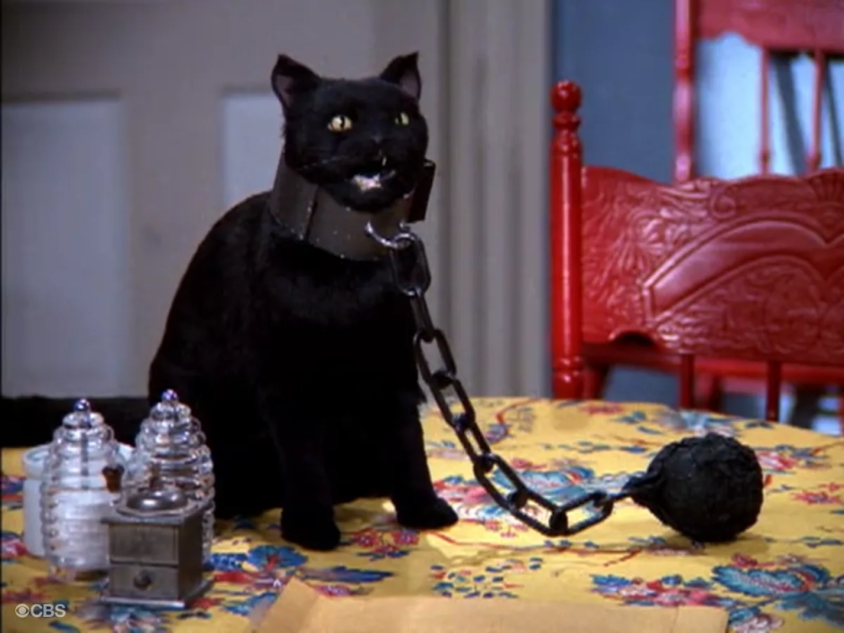 Сабрина маленькая ведьма Салем