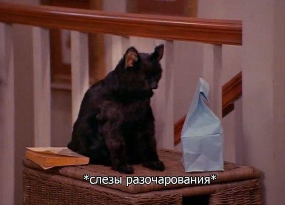 Саймон Сабрина маленькая ведьма