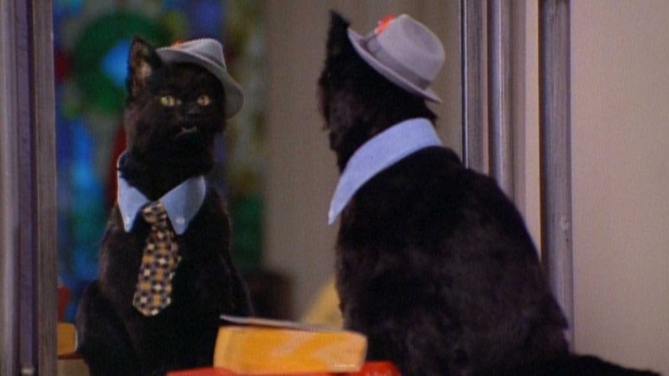 Очень страшное кино фильм 2 кот