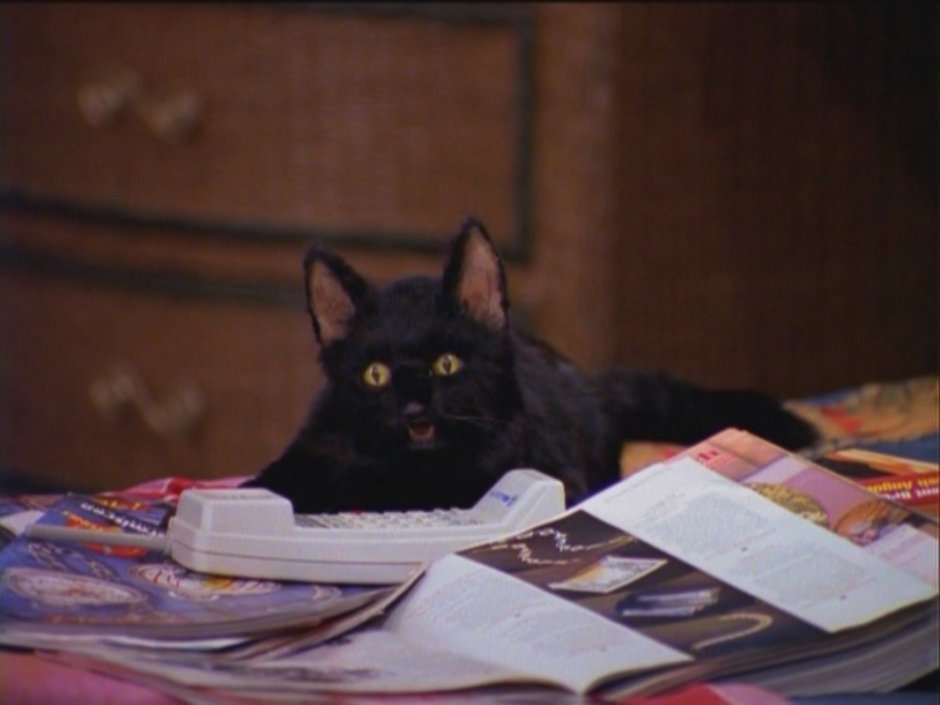 Салем Фамильяр