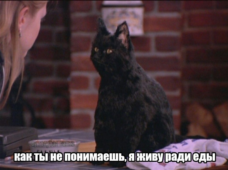 Сейлем кот Сабрина маленькая ведьма