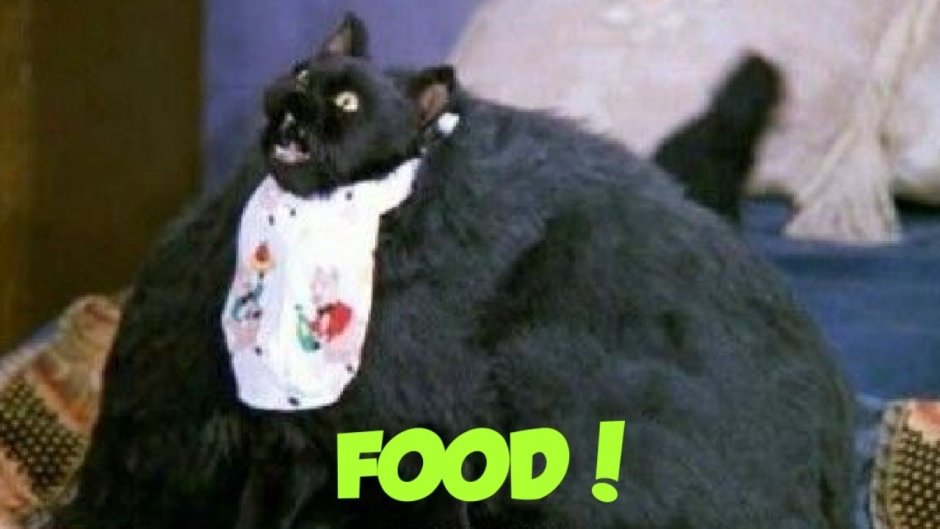 Сабрина маленькая ведьма Салем