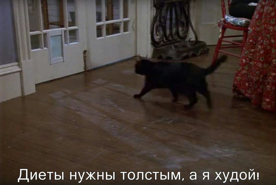 Салем Сабрина мемы