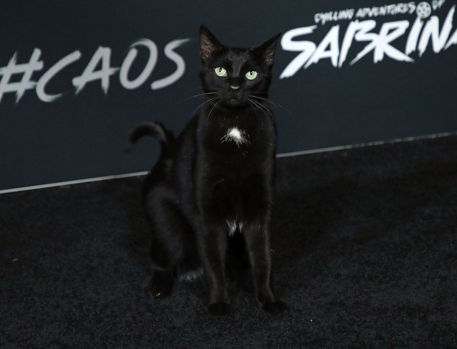 Сабрина маленькая ведьма Салем