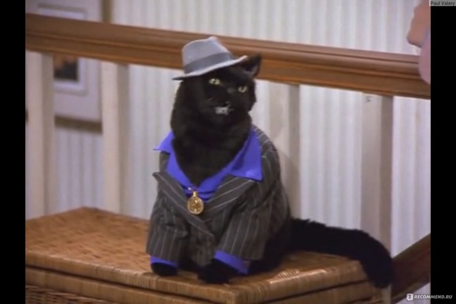 Сабрина маленькая ведьма Салем