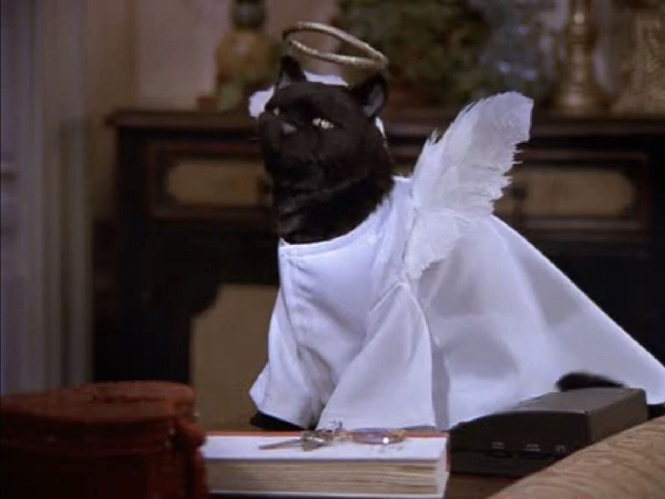 Сабрина маленькая ведьма кот Салем