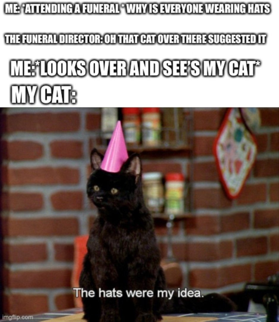 Сейлем Сабрина маленькая ведьма