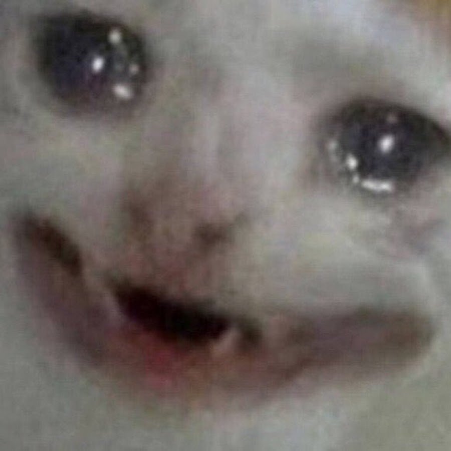 Плачущие коты