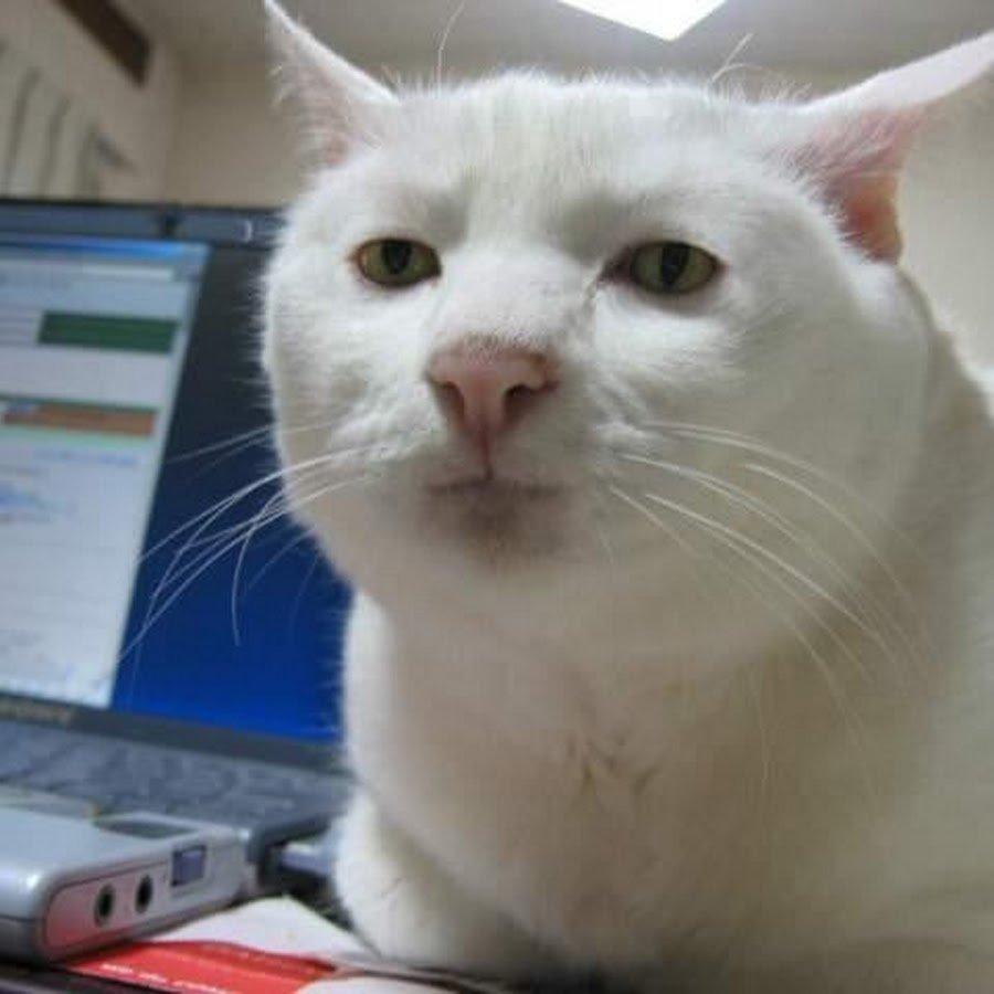 Мем кто такая будильник