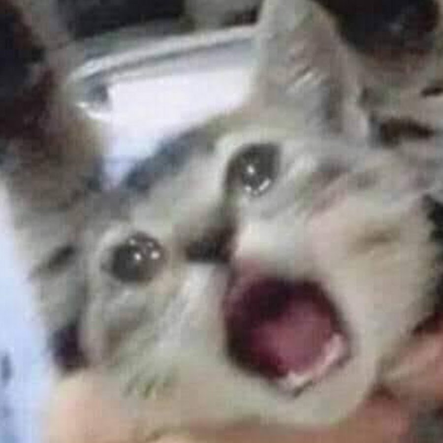 Я не плачу это просто дощ