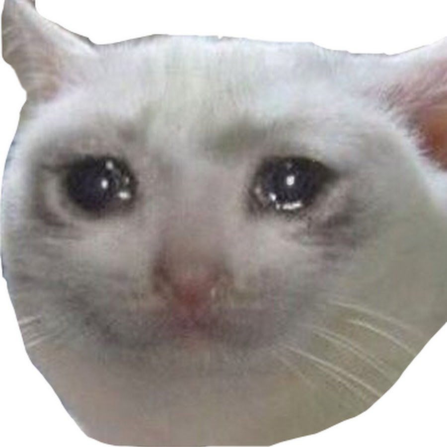 Кот с плачущими глазами