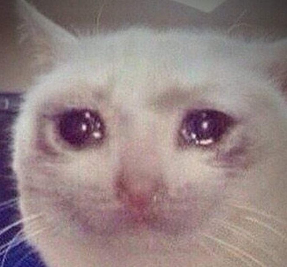 Плачущий кот