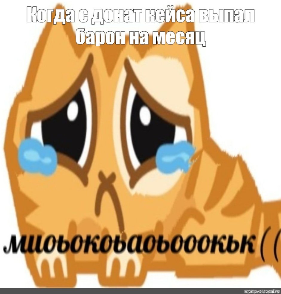 Кот персик плачет