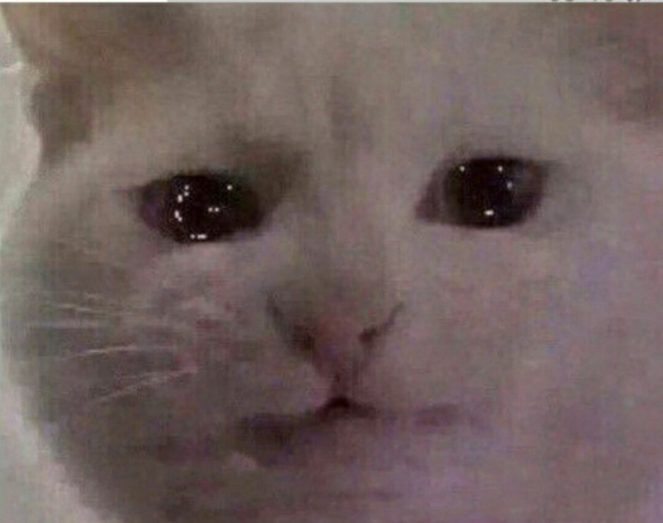 Котик плачет от счастья