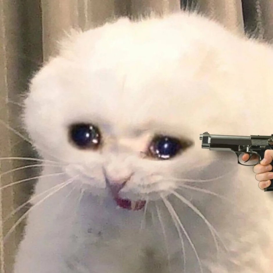 Плачущий кот