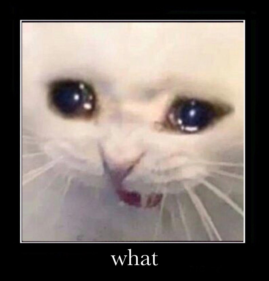 Кричащий Плачущий кот