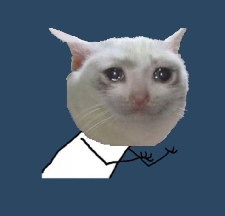 Кот плачет Мем