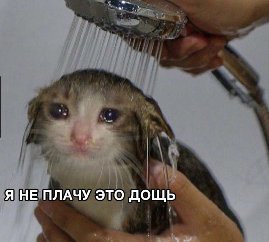 Грустный котик Мем