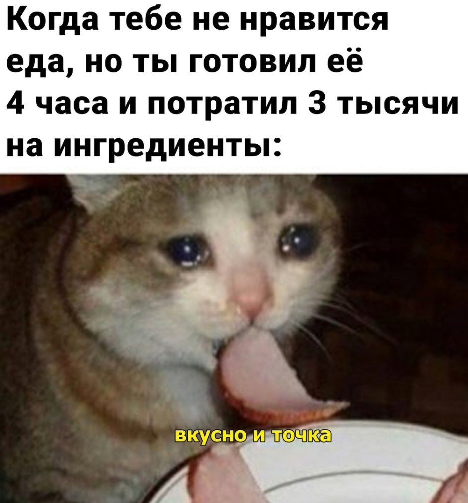 Кот персик с членом