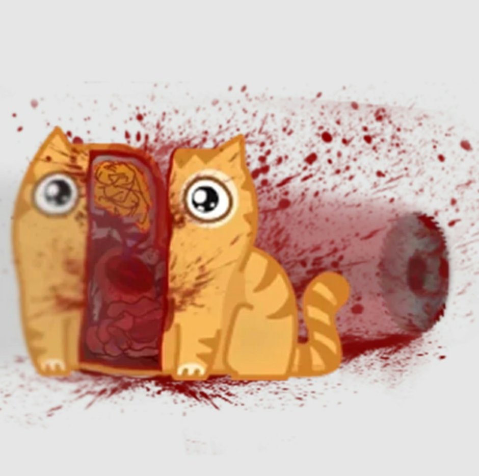 Кот персик арт