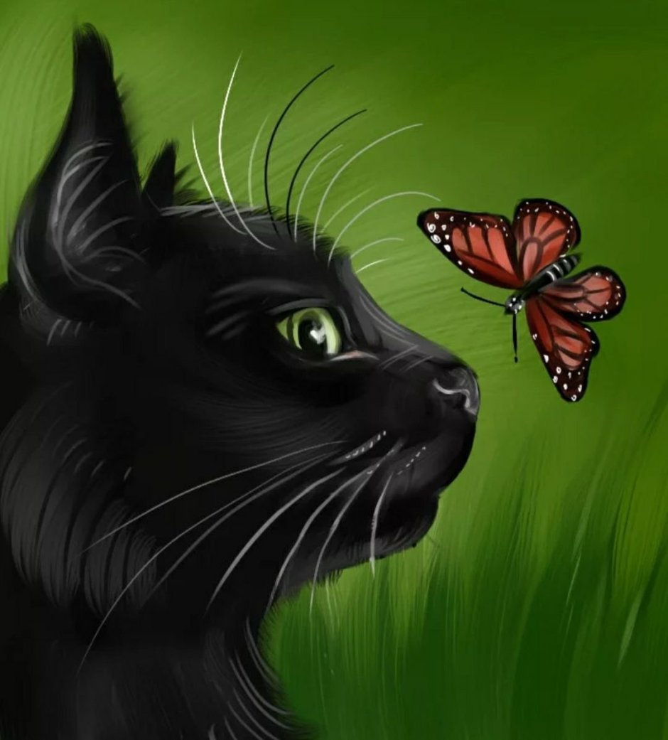 Котик с бабочкой