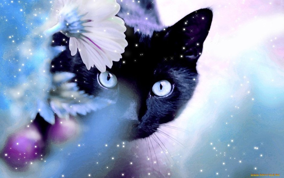 Кот и бабочка арт