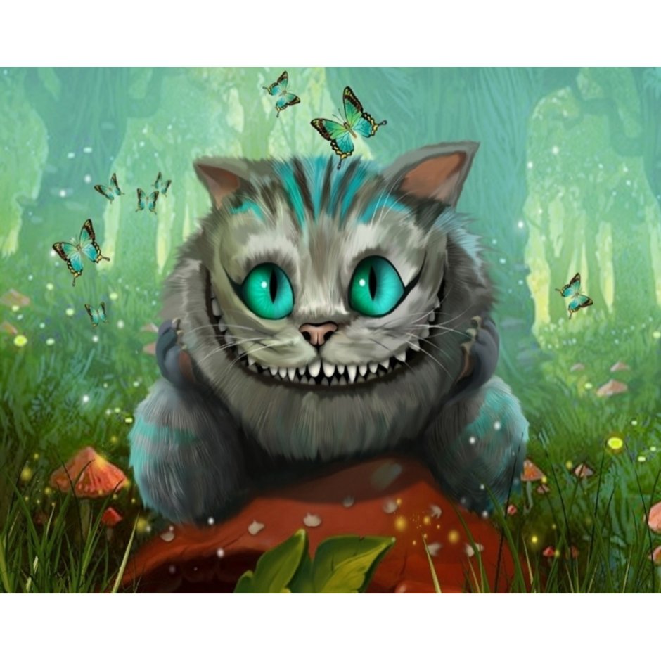 Кот в бинтах