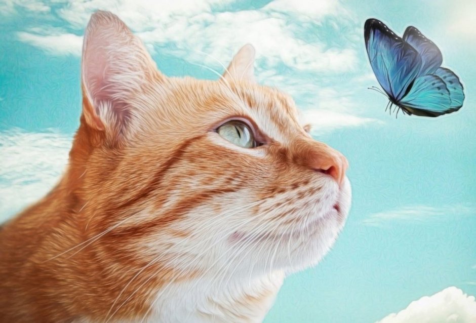 Кошка с бабочками