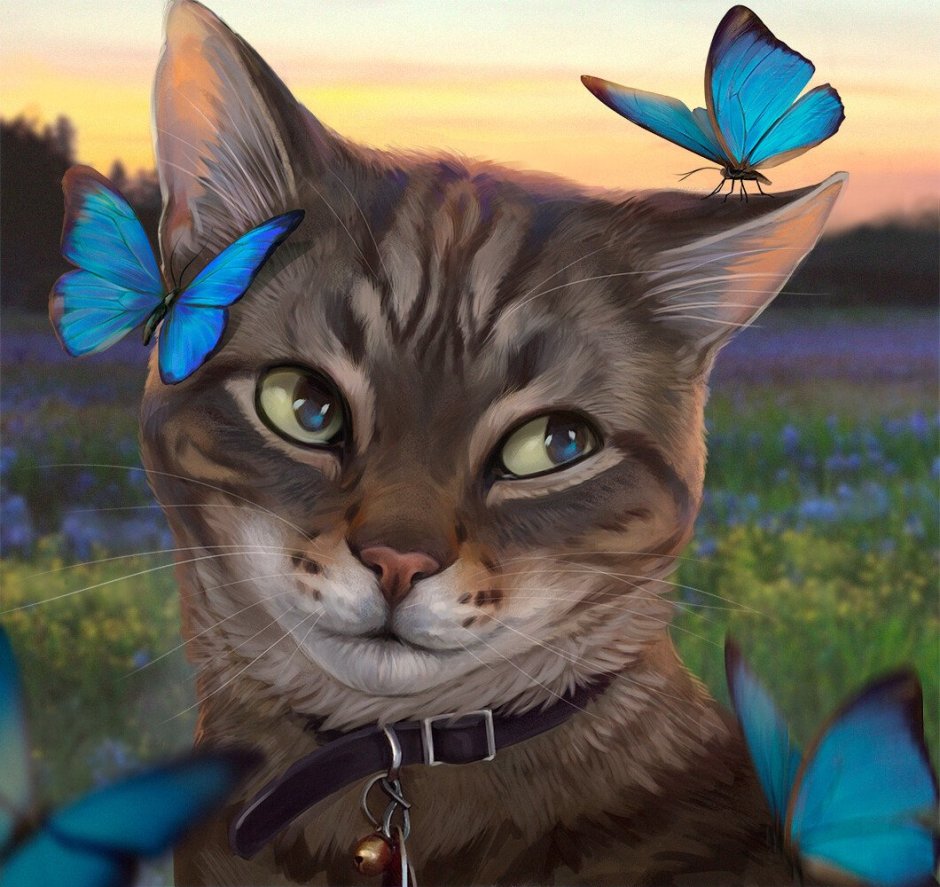 Кошка с бабочками