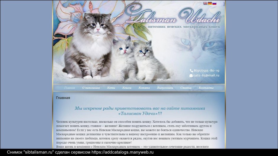 Котята Невской маскарадной