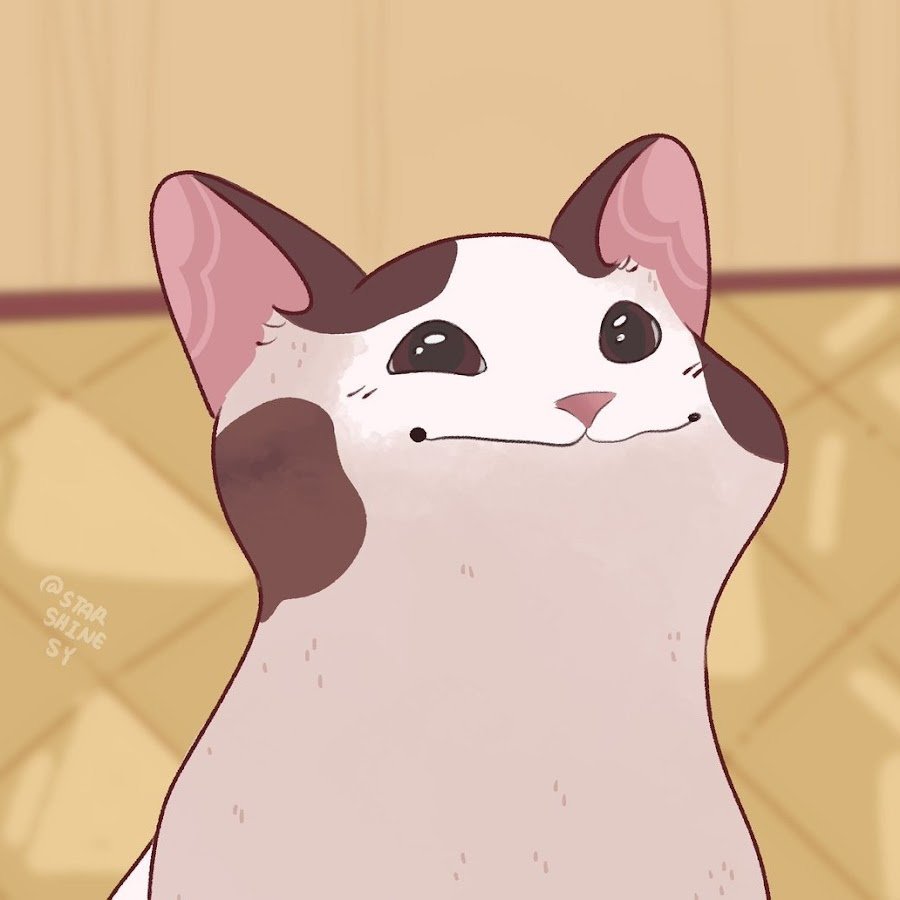 Милые котики из мемов