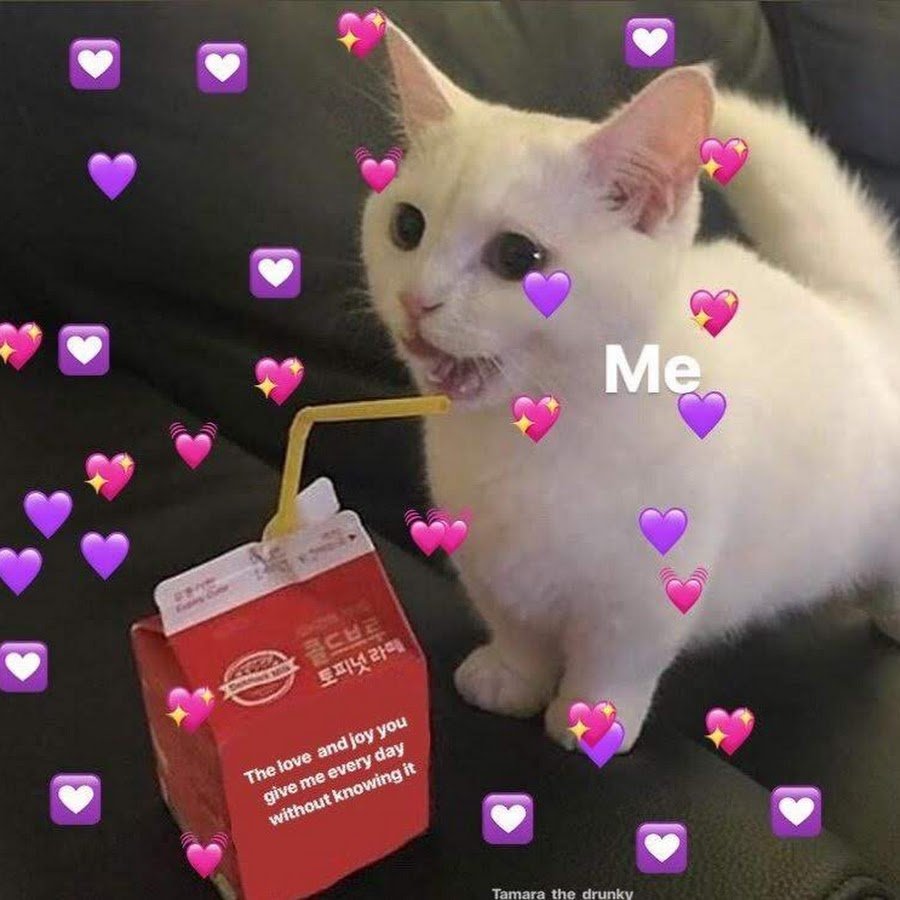 Милые котики с сердечками