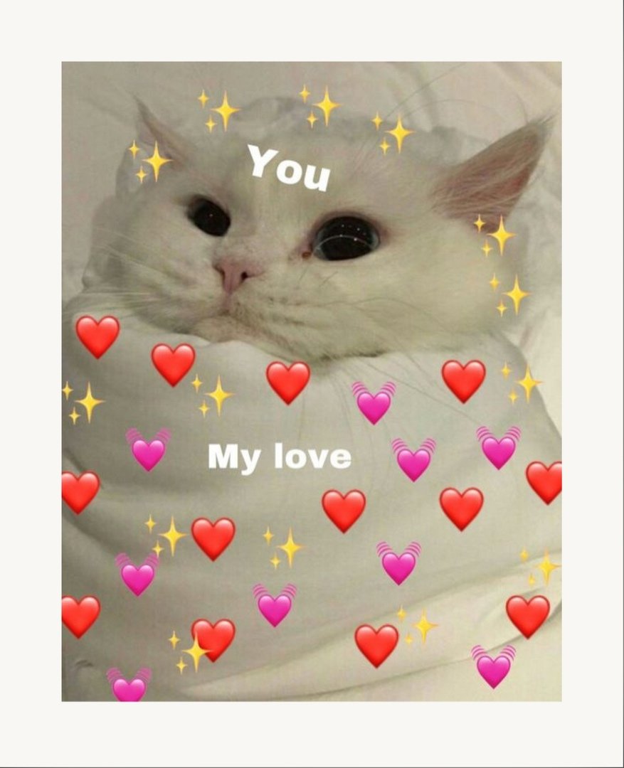 Милые котики с милыми словами