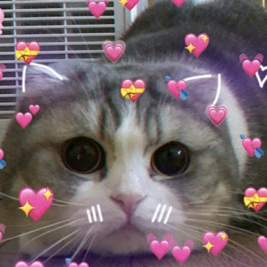 Милый котик с надписью