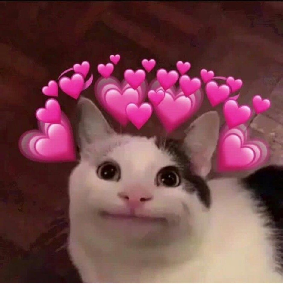 Милые котики с сердечками над головой