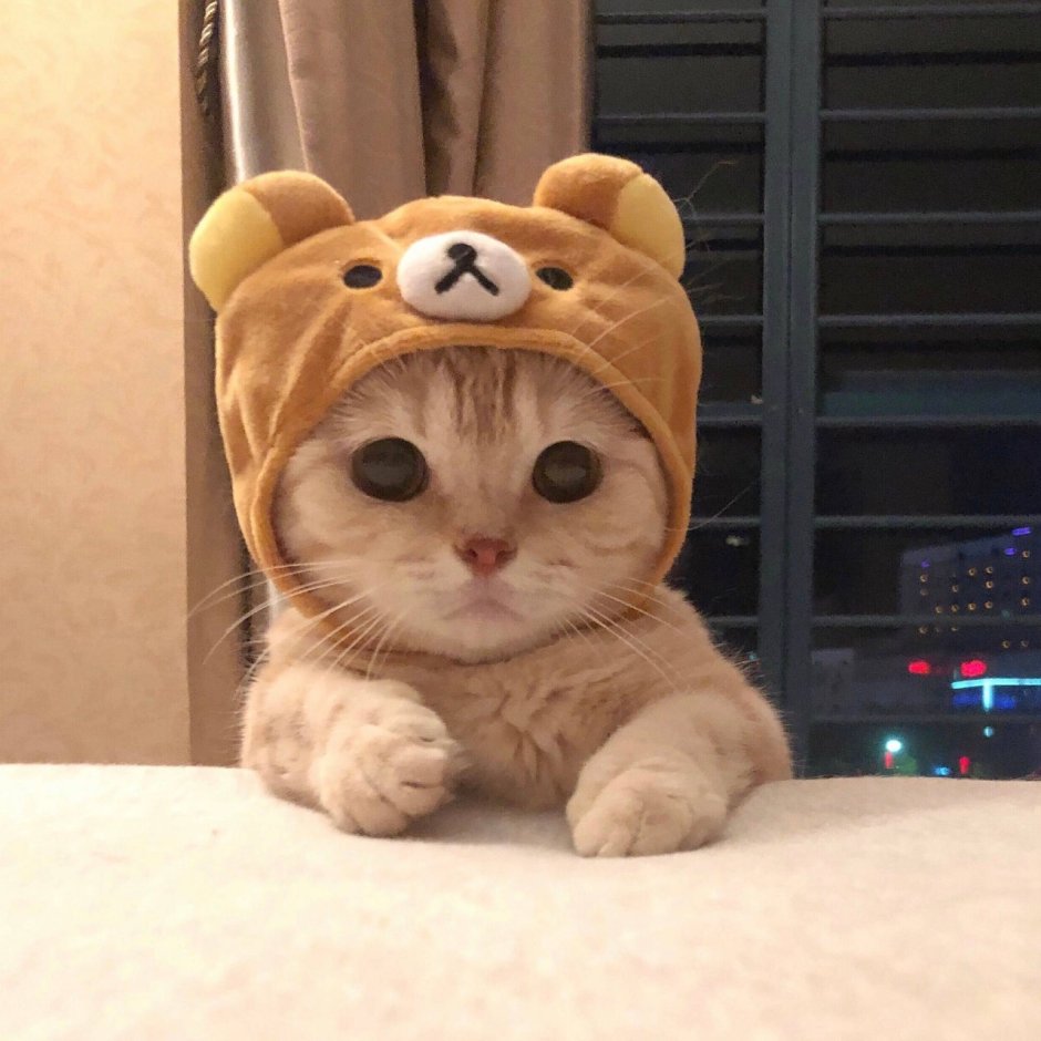 Кротик в костюме мишки