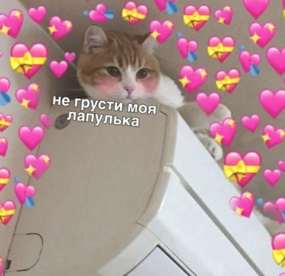 Пикчи с котиками и сердечками