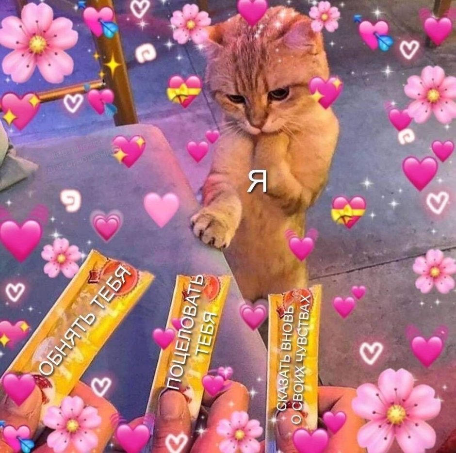 Милая пикча привет