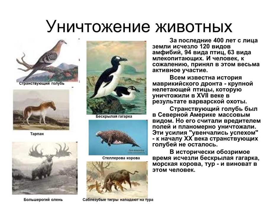 Животные исчезнувшие с лица земли