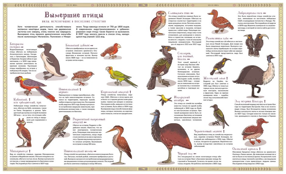 Вымершие птицы России