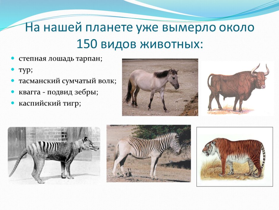 Исчезнувшие виды животных и птиц