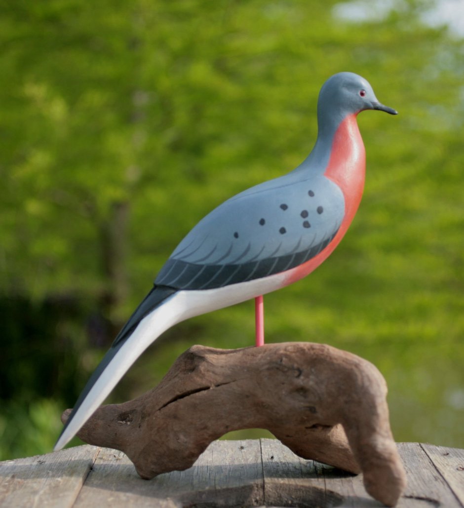 Исчезнувшие птицы