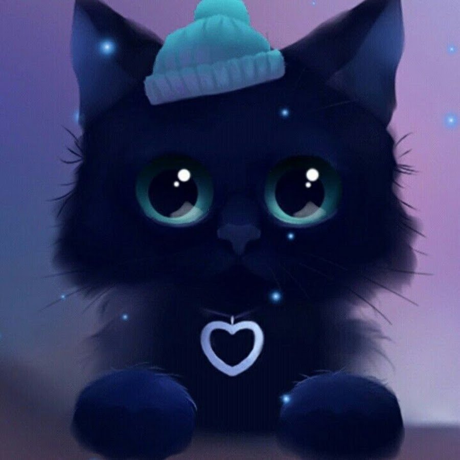 Чёрный кот с синими глазами