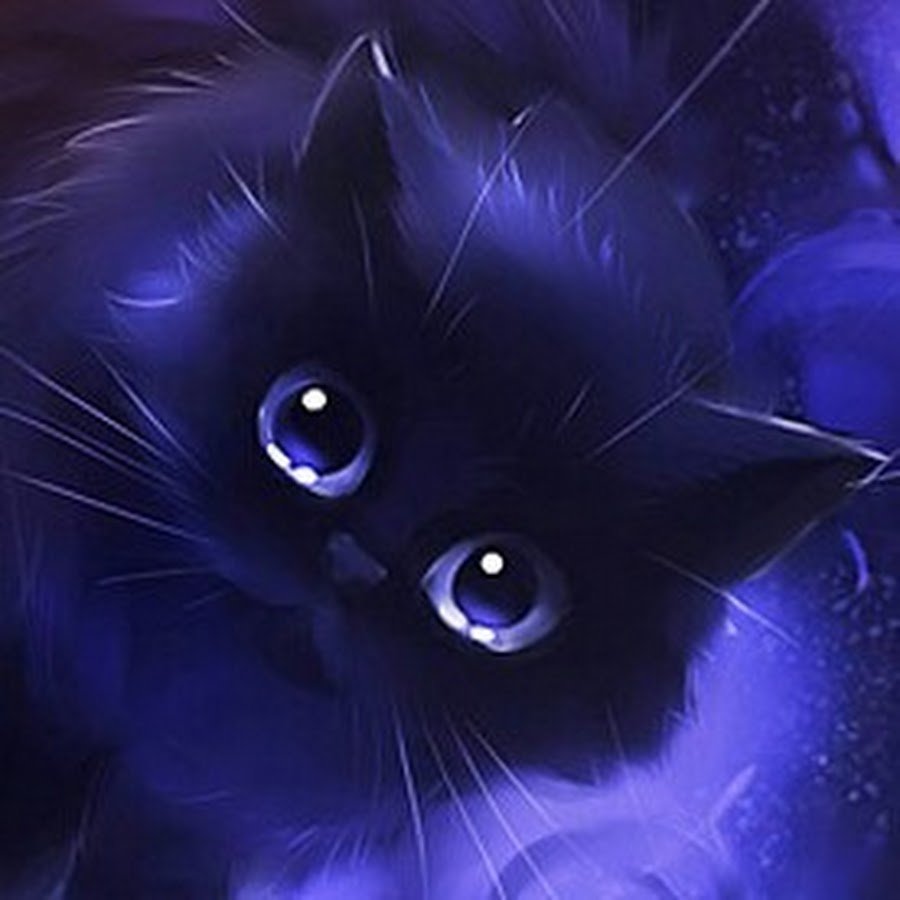 Чёрный кот с белой лапой и голубыми глазами