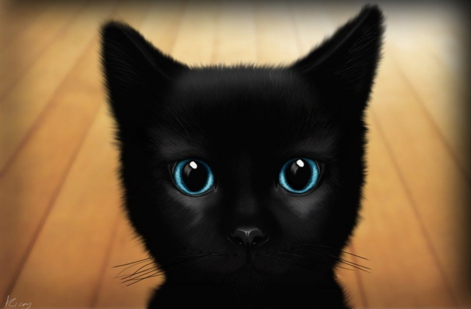 Милый чёрный котик