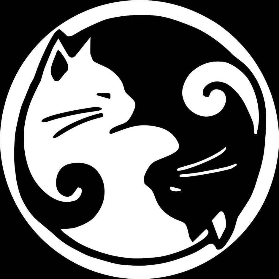 Тату Инь Янь кошки