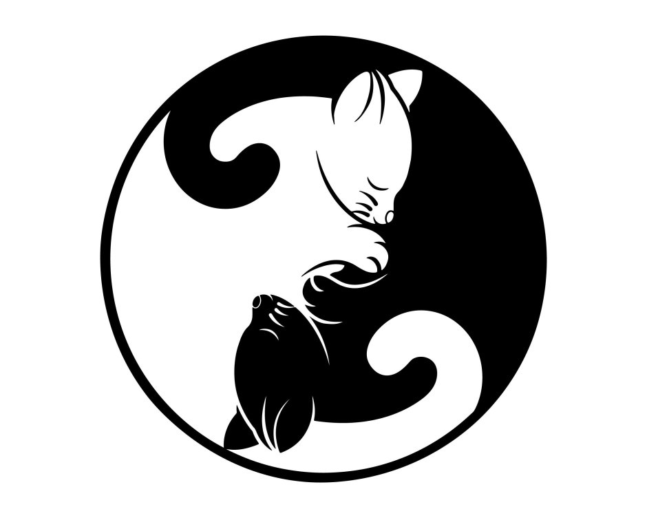 Инь Янь кошки