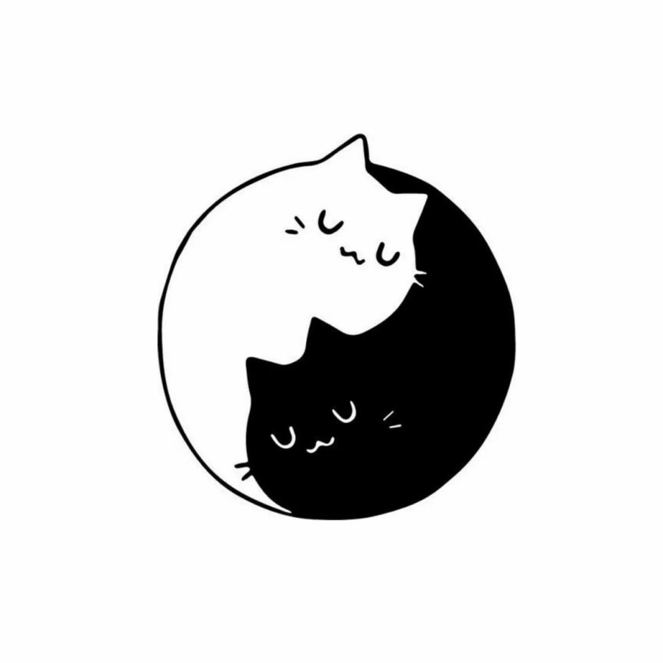 Котик в круге