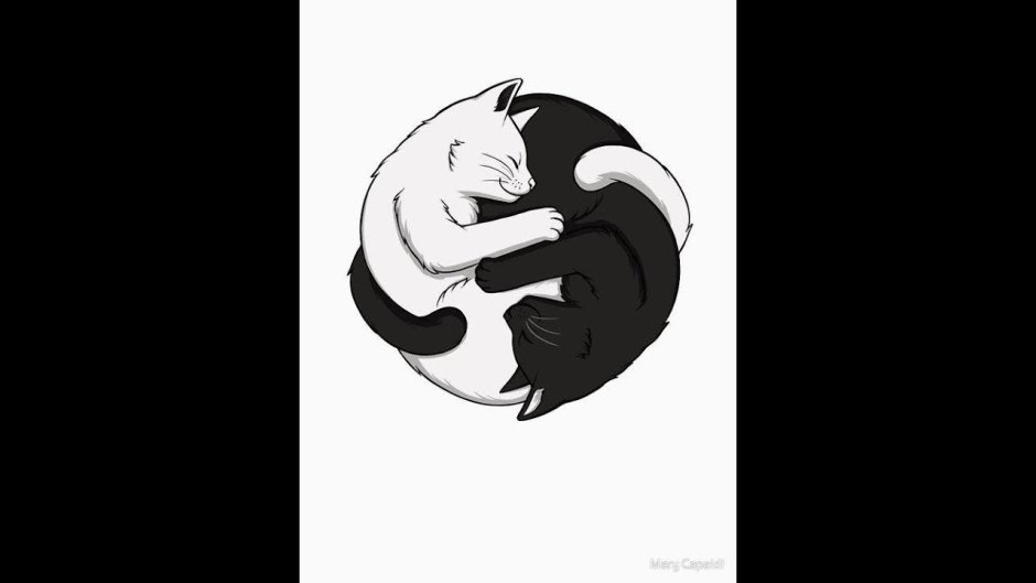 Котики Инь Янь картина